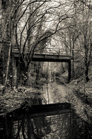 The Flooded Line Nov 2025