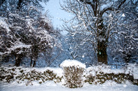Milltimber Snow Day 6.1.26