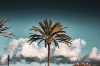 Tenerife January 2023