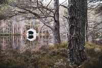 Glen Tanar, March 2023