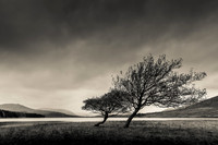 Rannoch Moor Autumn 2017