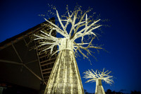 Meloneras & Maspalomas, Lopesan Baobab