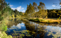 Castle Fraser Estate