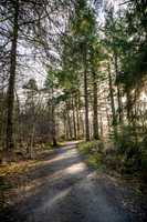 Hazlehead Feb 24