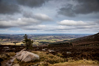Bennachie March 2024