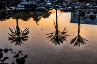 Tenerife 2018 Re-visited