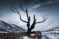 Glenshee Re-visited