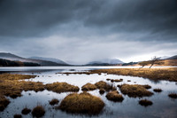 Rannoch Moor 2017