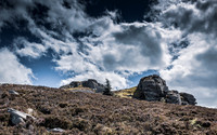 Bennachie July 2020