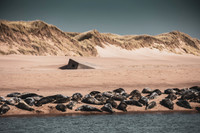Newburgh Beach Bay