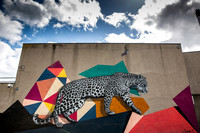 NUART Murals Aberdeen